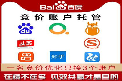 成功案例：竞价托管SEM助力企业快速成长